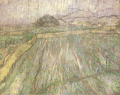Vincent Van Gogh Wheat Field in Rain (nn04) oil painting image